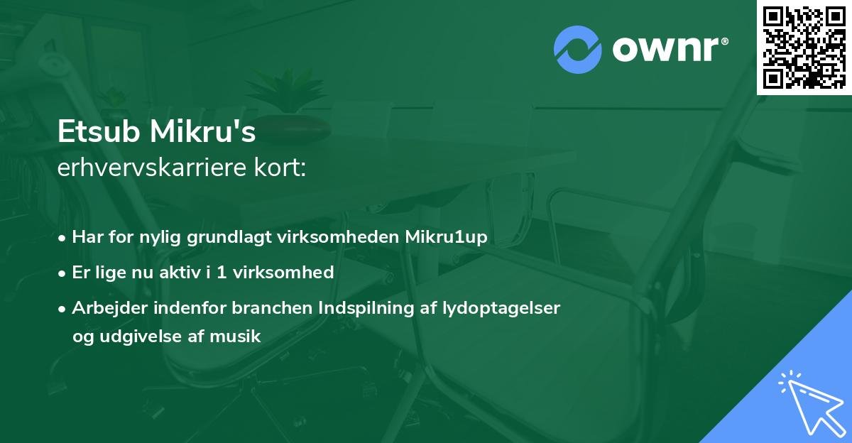 Etsub Mikru's erhvervskarriere kort