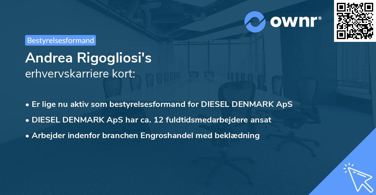 Andrea Rigogliosi's erhvervskarriere kort