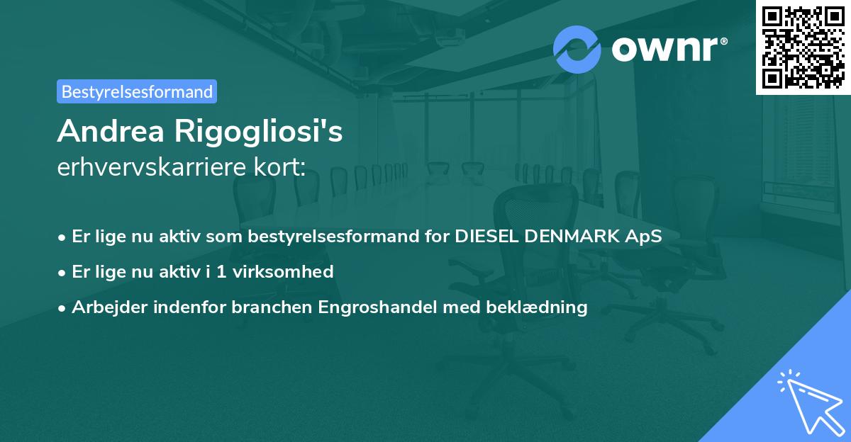Andrea Rigogliosi's erhvervskarriere kort
