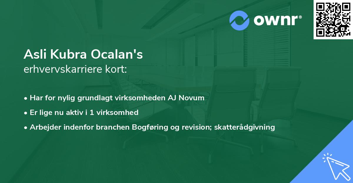 Asli Kubra Ocalan's erhvervskarriere kort