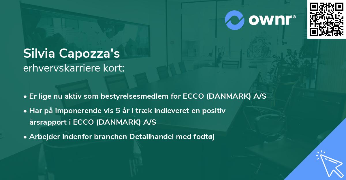 Silvia Capozza's erhvervskarriere kort