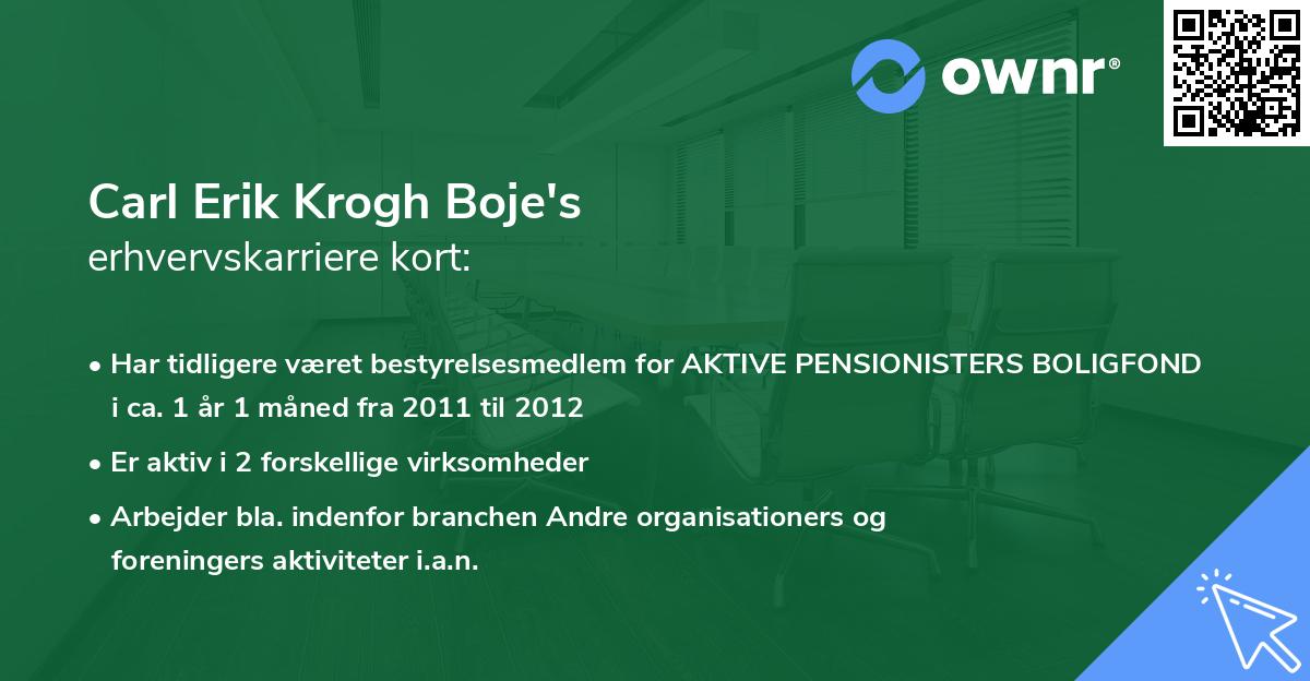 Carl Erik Krogh Boje's erhvervskarriere kort