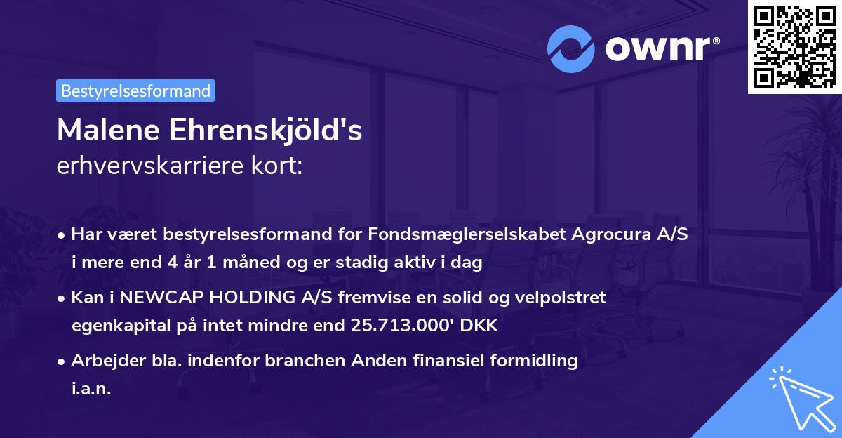 Malene Ehrenskjöld's erhvervskarriere kort