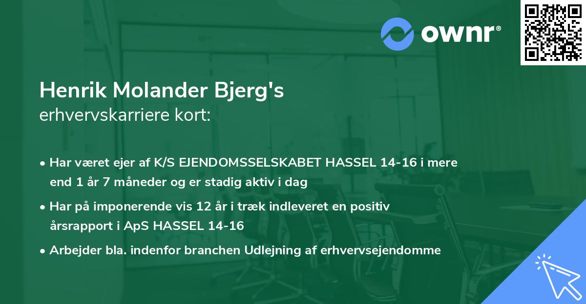 Henrik Molander Bjerg's erhvervskarriere kort