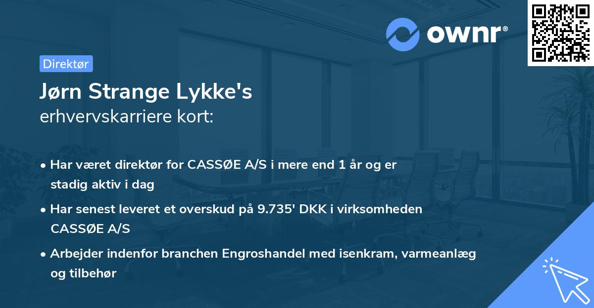 Jørn Strange Lykke's erhvervskarriere kort