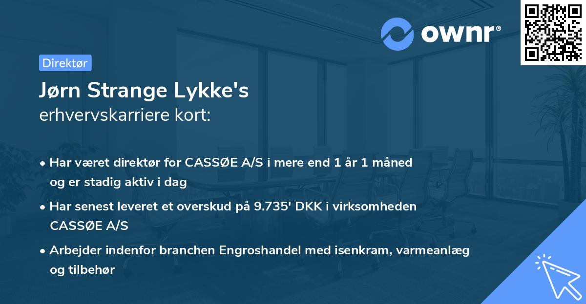 Jørn Strange Lykke's erhvervskarriere kort