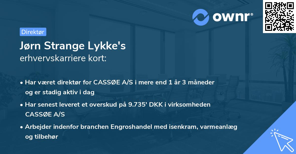 Jørn Strange Lykke's erhvervskarriere kort