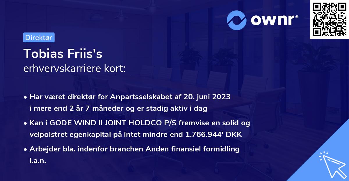Tobias Friis's erhvervskarriere kort