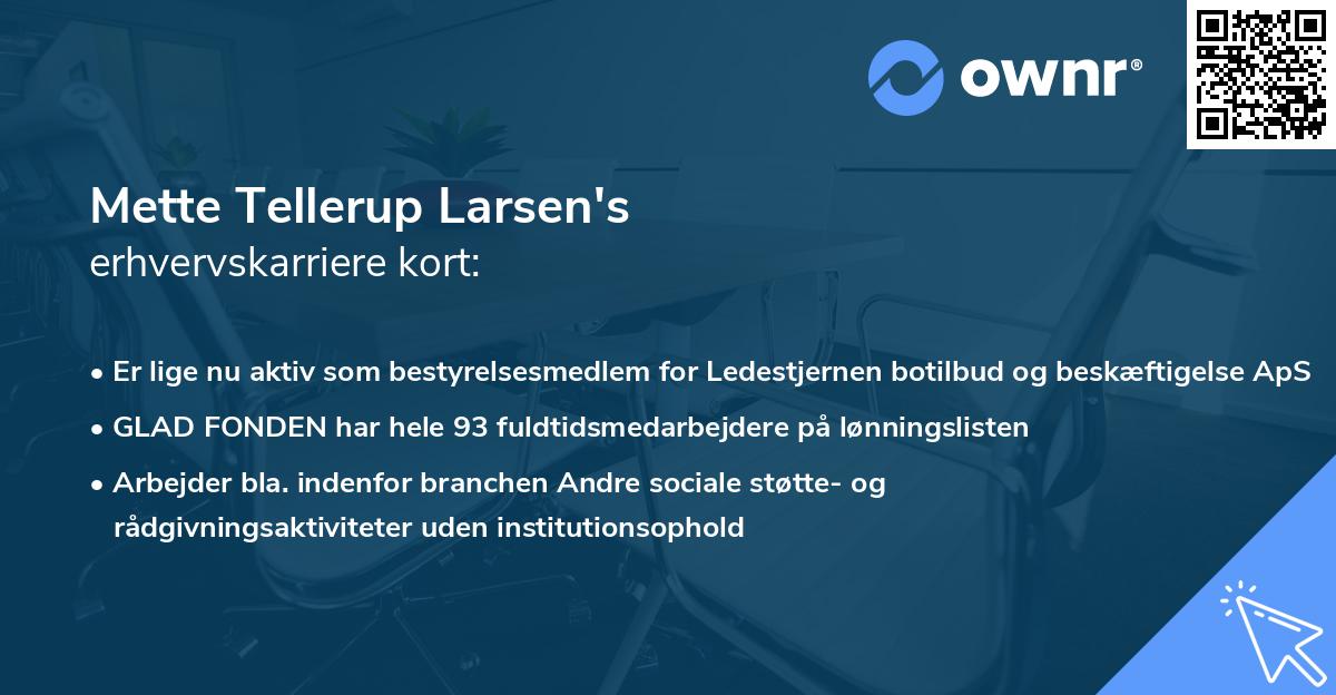 Mette Tellerup Larsen's erhvervskarriere kort