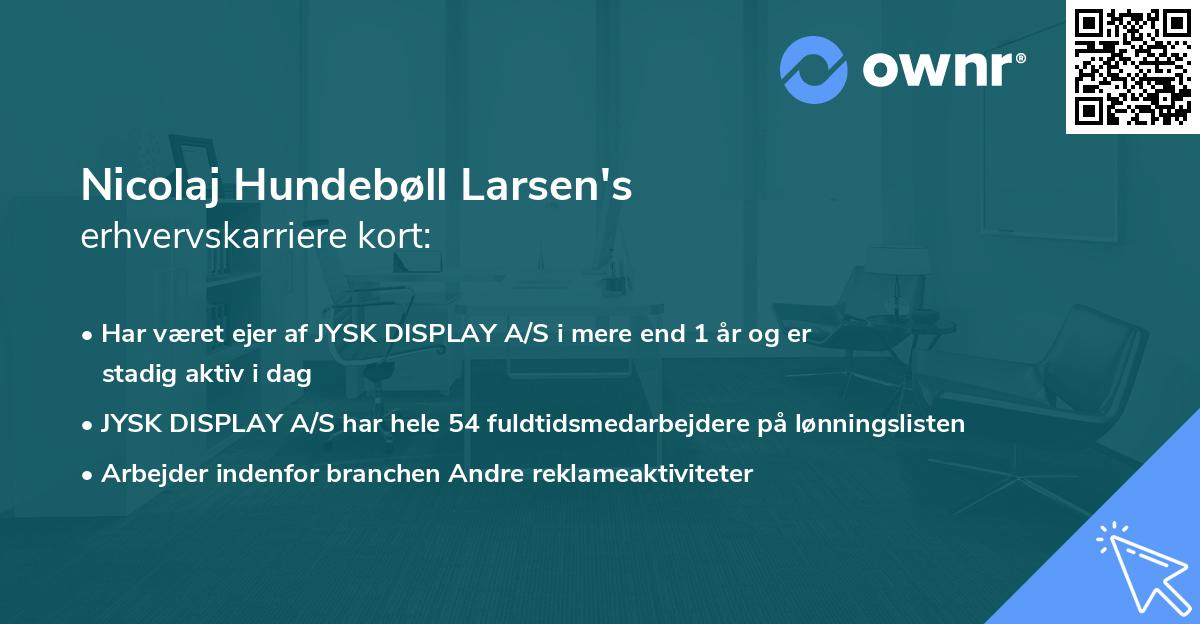 Nicolaj Hundebøll Larsen's erhvervskarriere kort