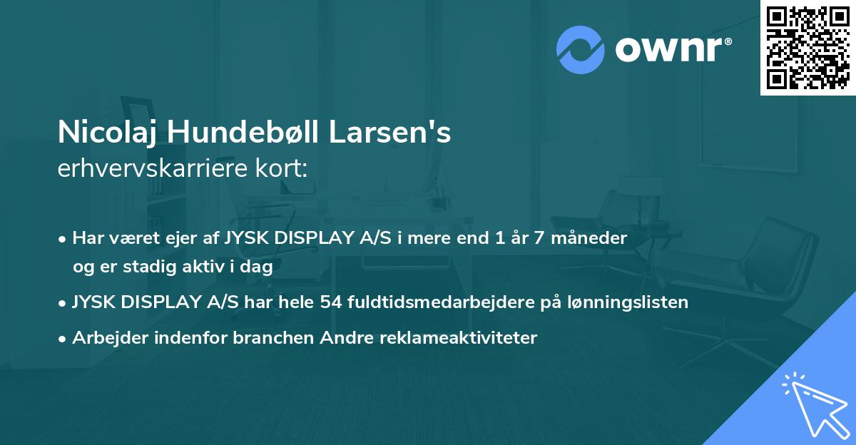 Nicolaj Hundebøll Larsen's erhvervskarriere kort