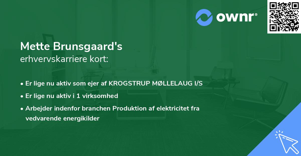 Mette Brunsgaard's erhvervskarriere kort