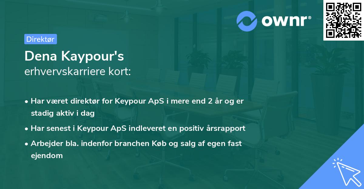 Dena Kaypour's erhvervskarriere kort