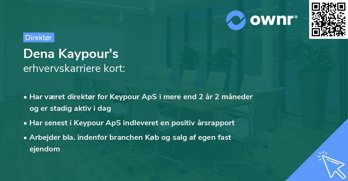 Dena Kaypour's erhvervskarriere kort