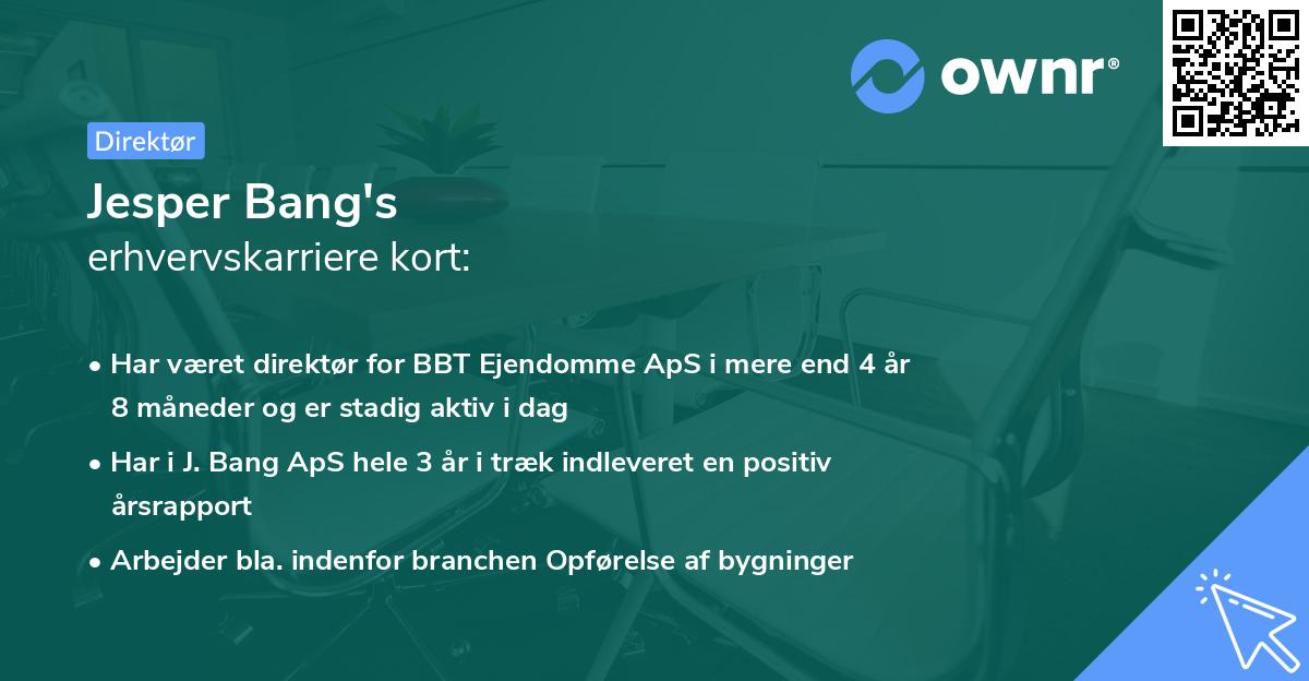 Jesper Bang's erhvervskarriere kort