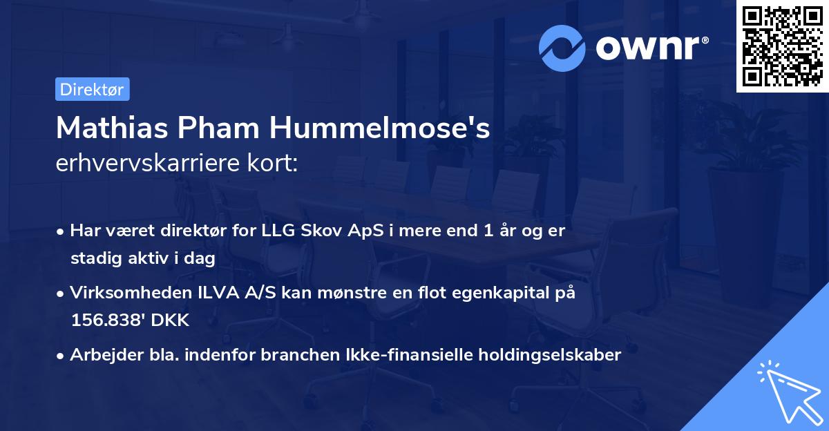 Mathias Pham Hummelmose's erhvervskarriere kort