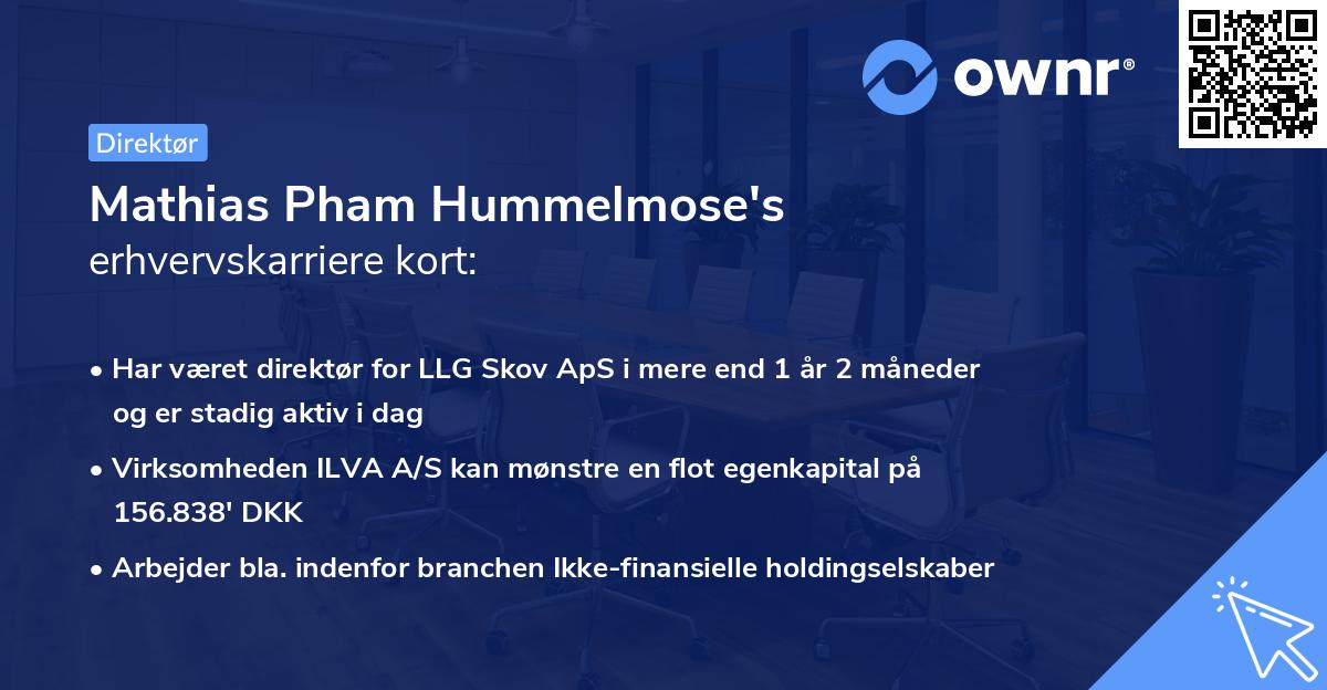 Mathias Pham Hummelmose's erhvervskarriere kort