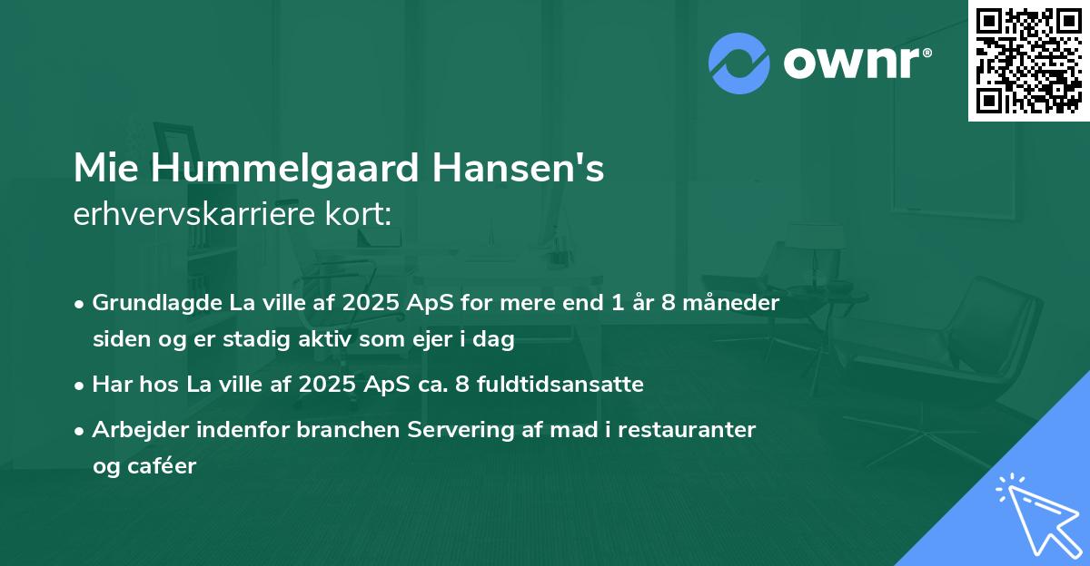 Mie Hummelgaard Hansen's erhvervskarriere kort