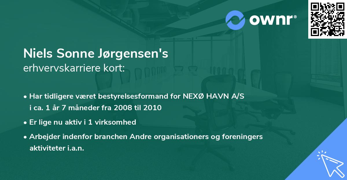 Niels Sonne Jørgensen's erhvervskarriere kort