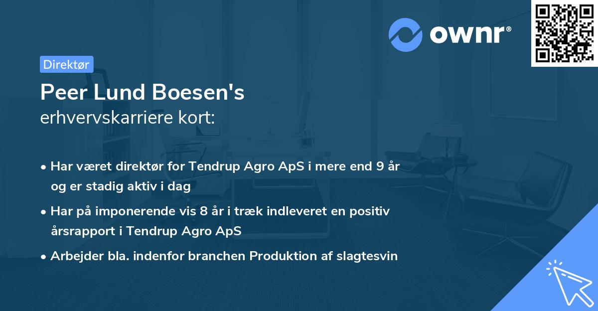 Peer Lund Boesen's erhvervskarriere kort