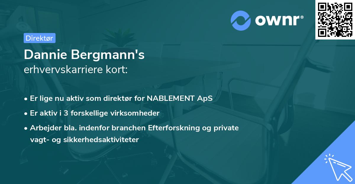 Dannie Bergmann's erhvervskarriere kort