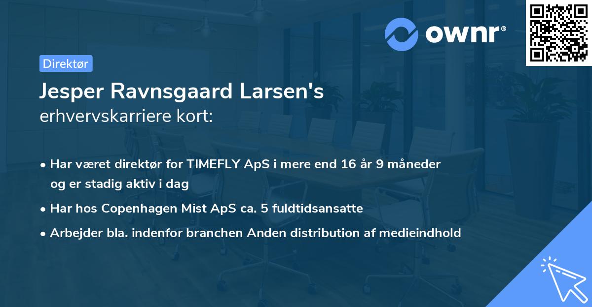 Jesper Ravnsgaard Larsen's erhvervskarriere kort