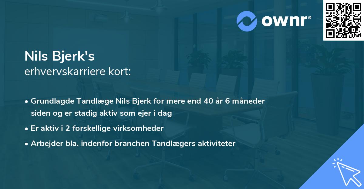 Nils Bjerk's erhvervskarriere kort