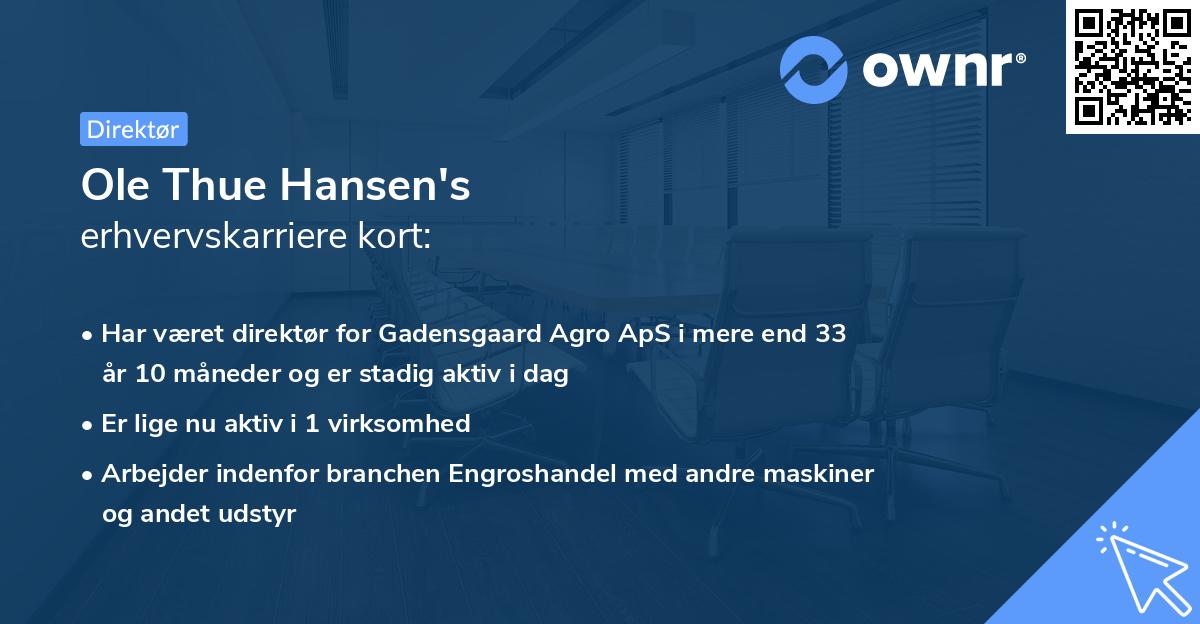 Ole Thue Hansen's erhvervskarriere kort