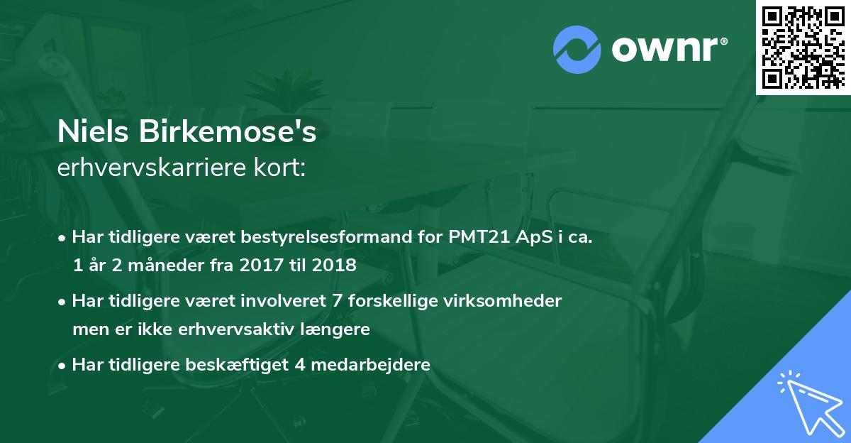 Niels Birkemose's erhvervskarriere kort