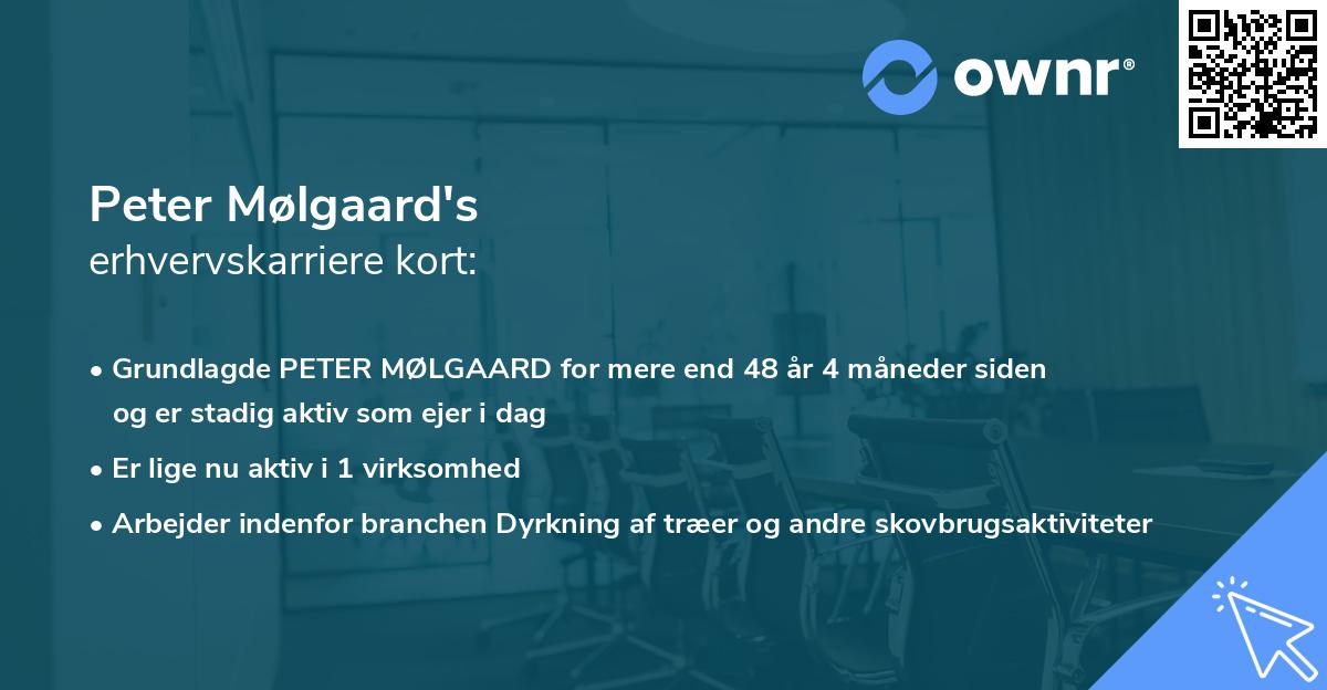 Peter Mølgaard's erhvervskarriere kort