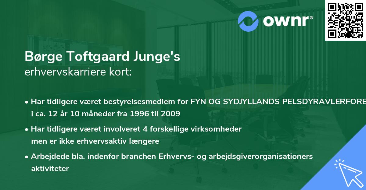 Børge Toftgaard Junge's erhvervskarriere kort
