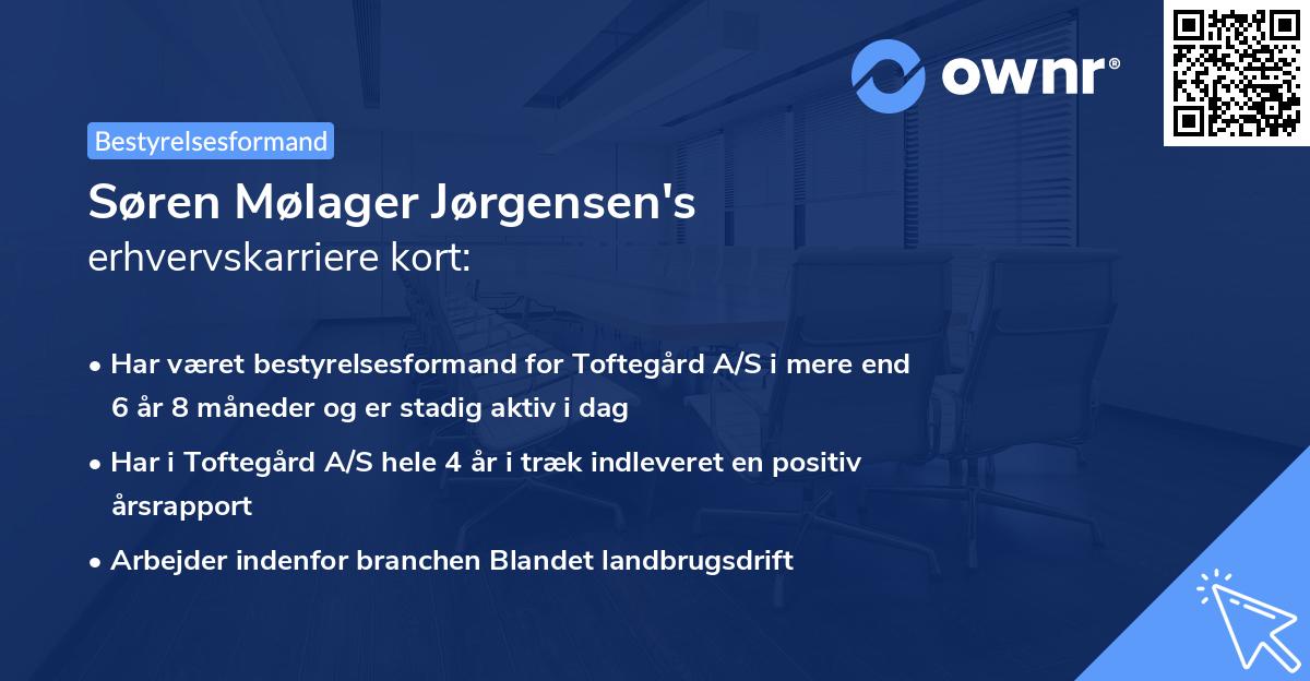 Søren Mølager Jørgensen's erhvervskarriere kort