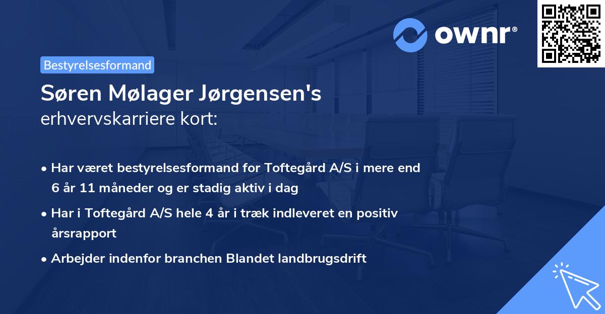 Søren Mølager Jørgensen's erhvervskarriere kort