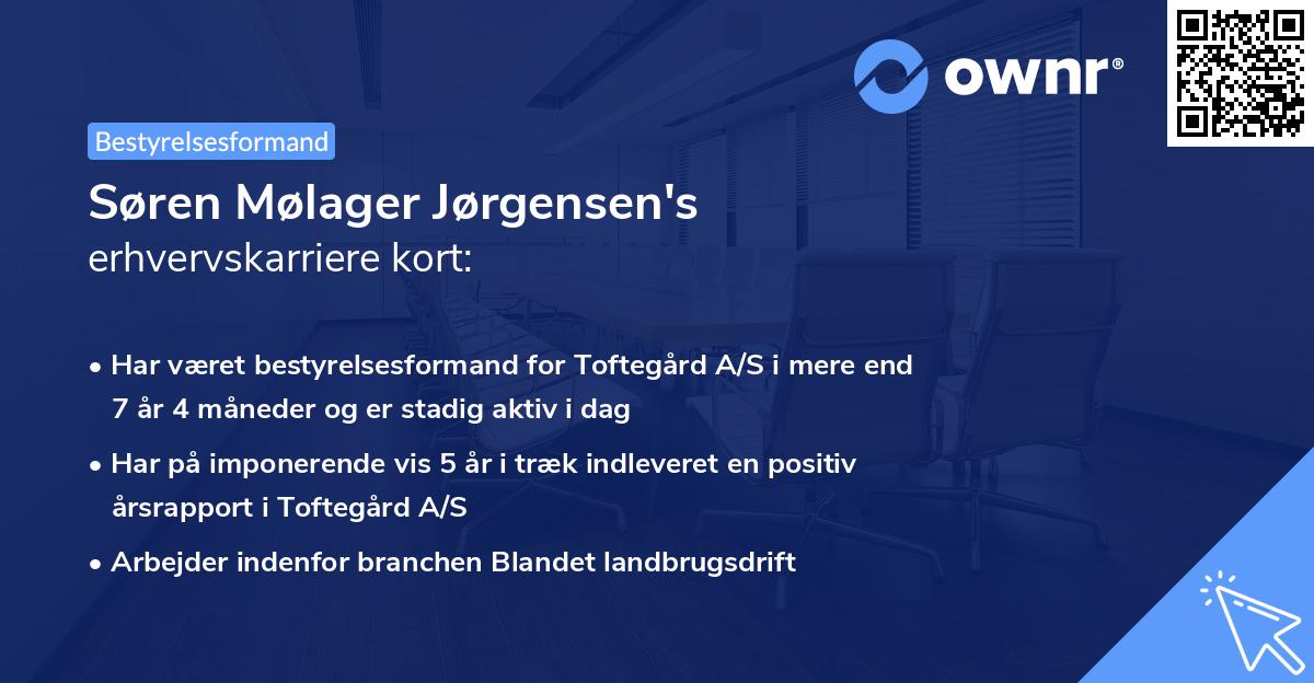 Søren Mølager Jørgensen's erhvervskarriere kort