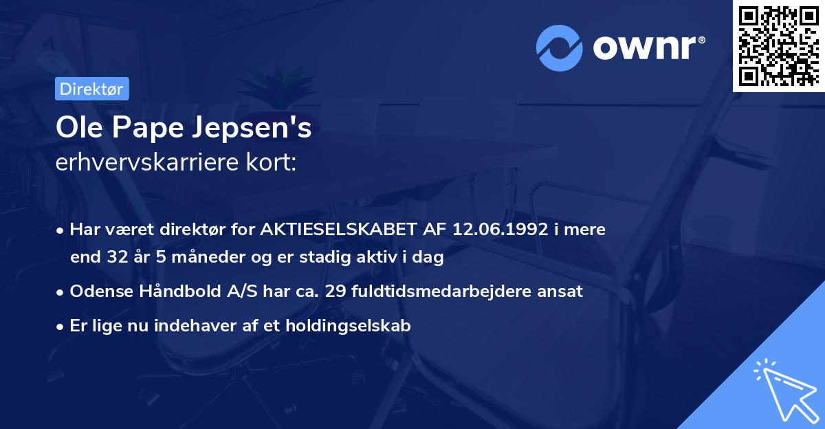 Ole Pape Jepsen's erhvervskarriere kort