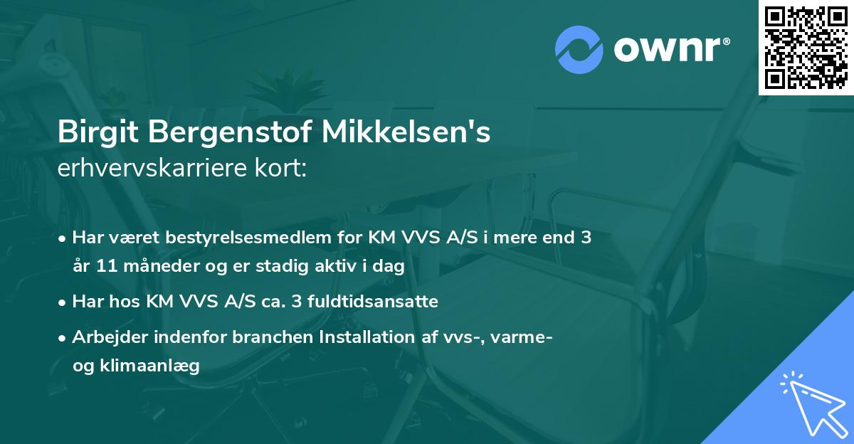 Birgit Bergenstof Mikkelsen's erhvervskarriere kort