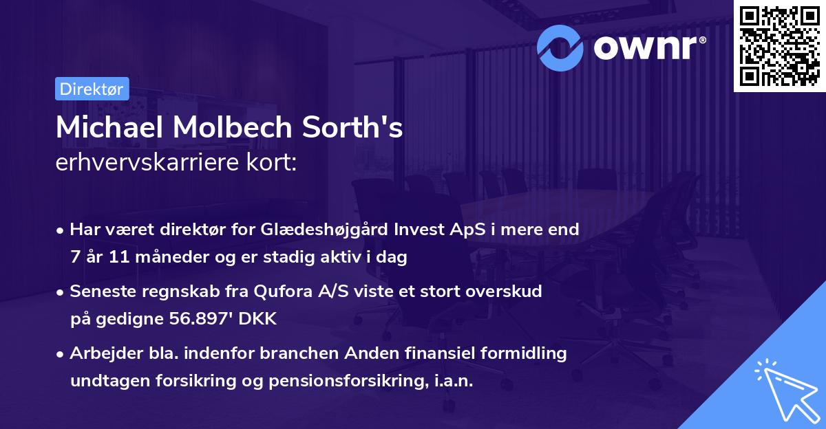 Michael Molbech Sorth's erhvervskarriere kort