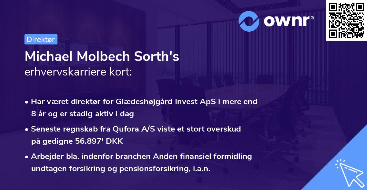 Michael Molbech Sorth's erhvervskarriere kort