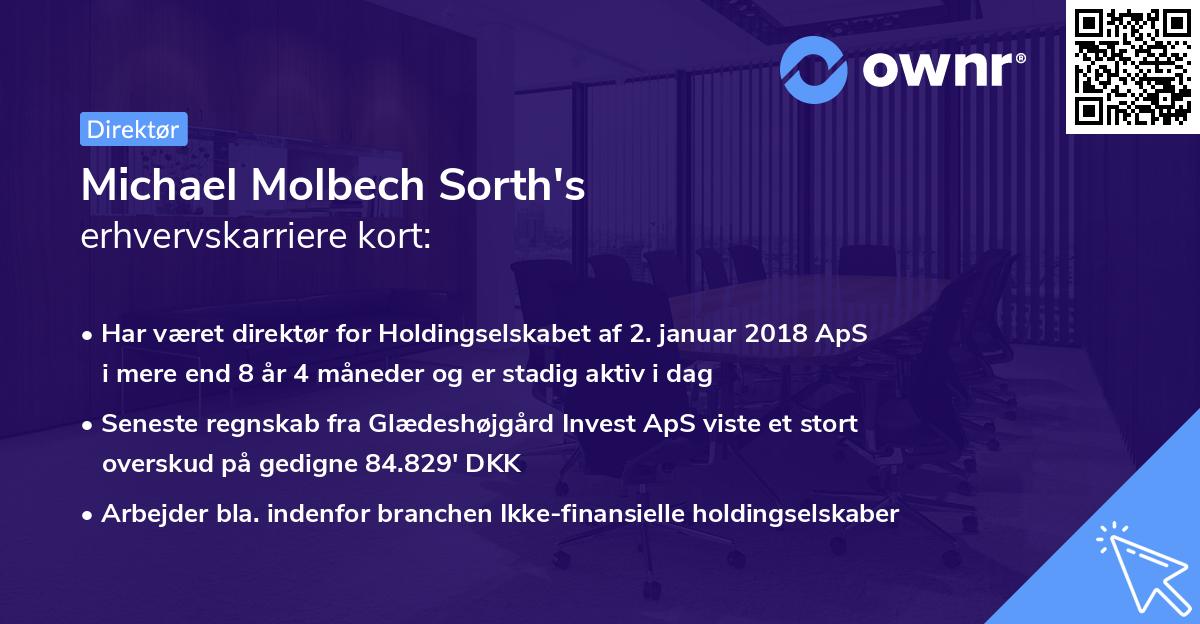 Michael Molbech Sorth's erhvervskarriere kort