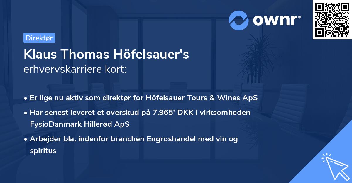 Klaus Thomas Höfelsauer's erhvervskarriere kort