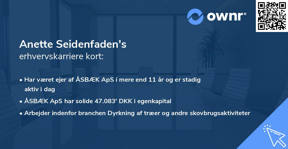 Anette Seidenfaden's erhvervskarriere kort