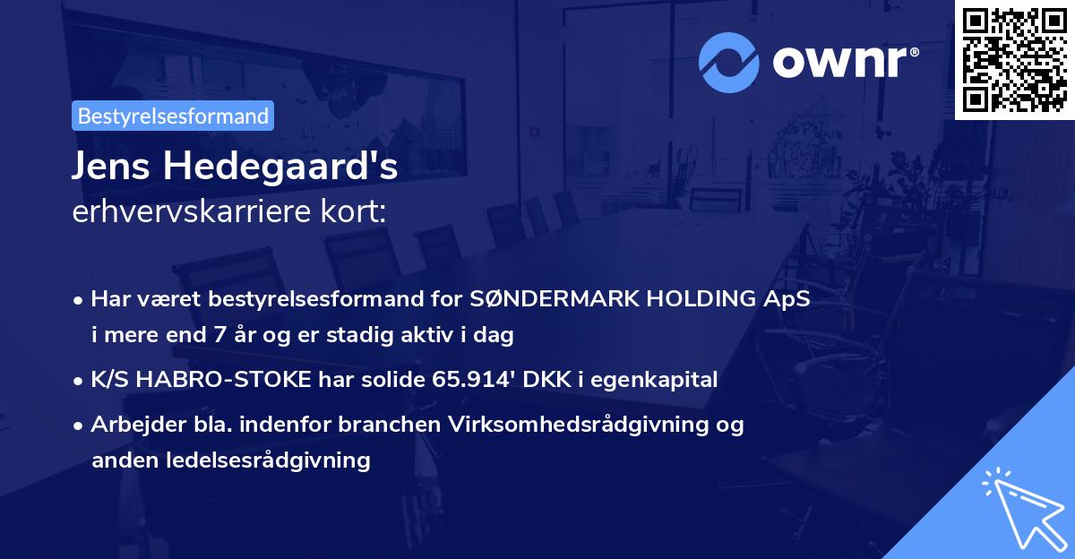Jens Hedegaard's erhvervskarriere kort