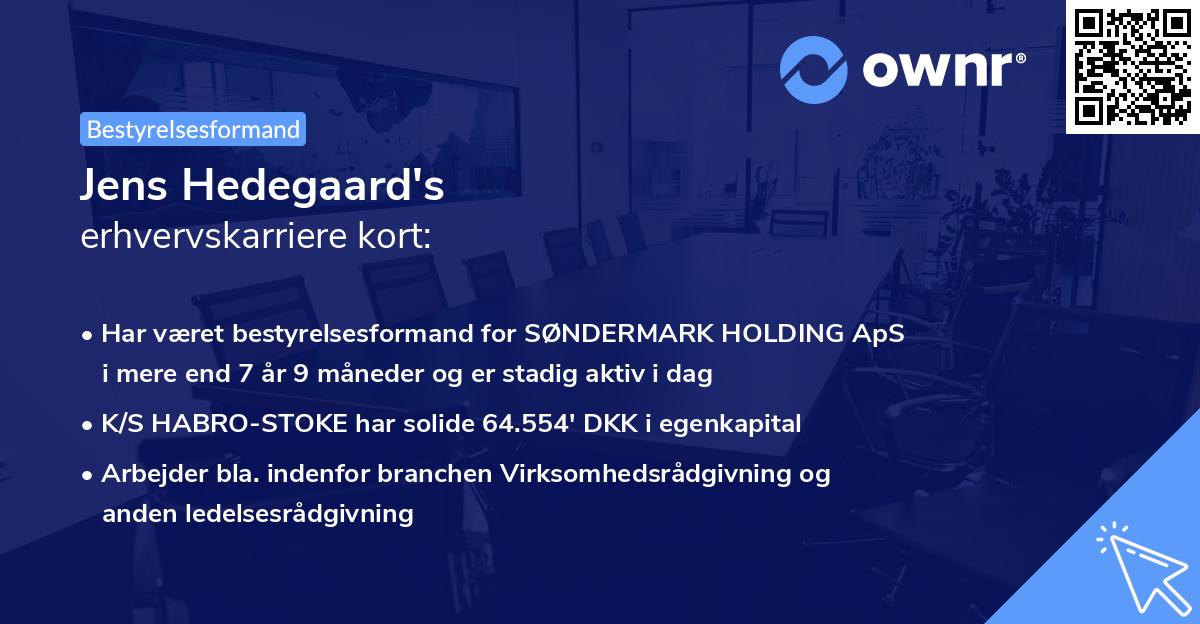 Jens Hedegaard's erhvervskarriere kort