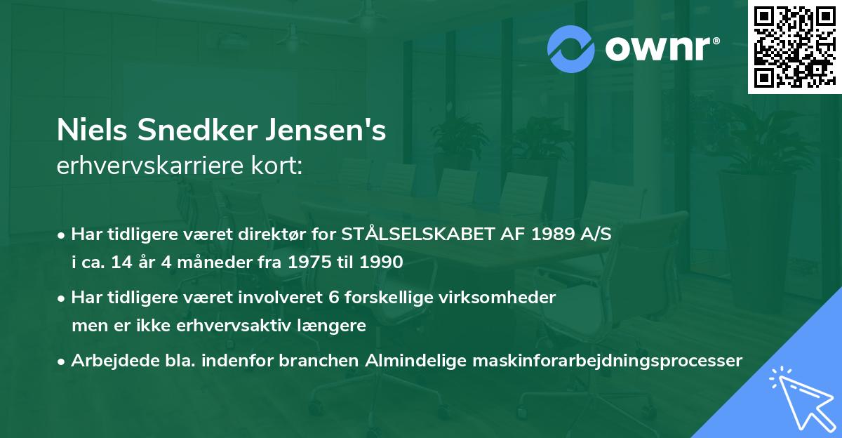 Niels Snedker Jensen's erhvervskarriere kort