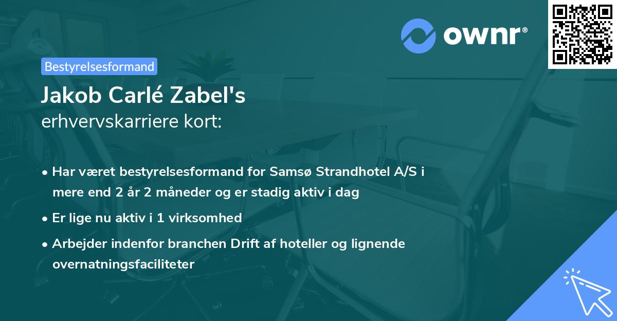 Jakob Carlé Zabel's erhvervskarriere kort