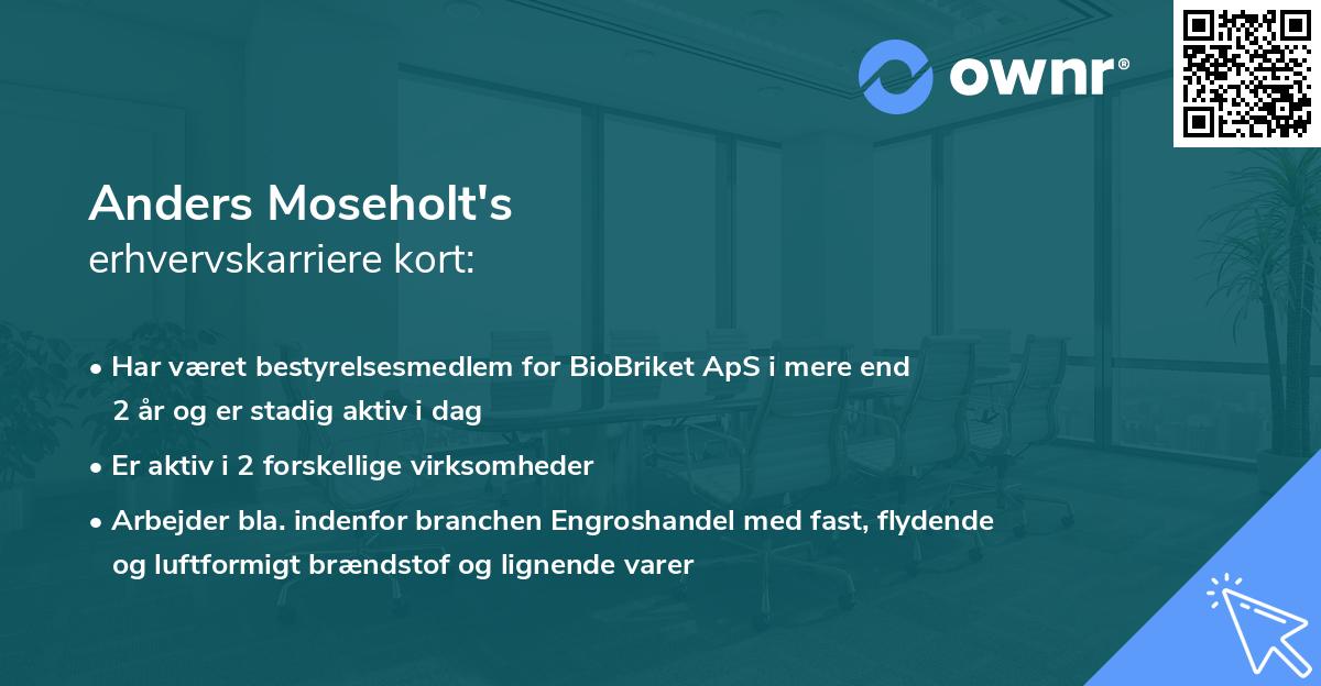 Anders Moseholt's erhvervskarriere kort