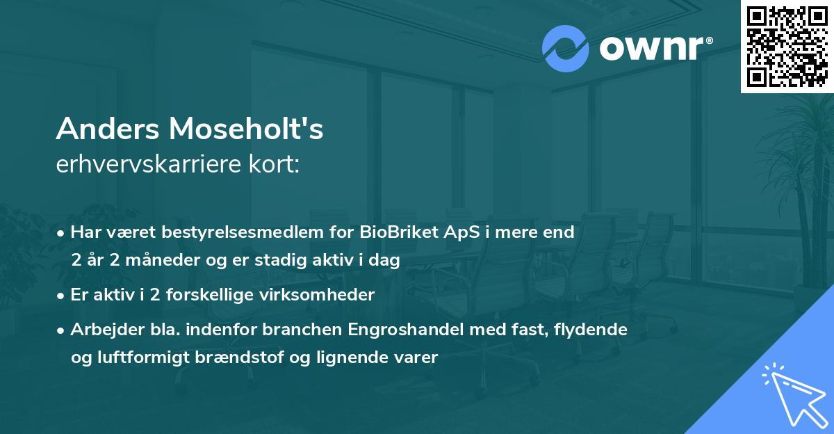 Anders Moseholt's erhvervskarriere kort