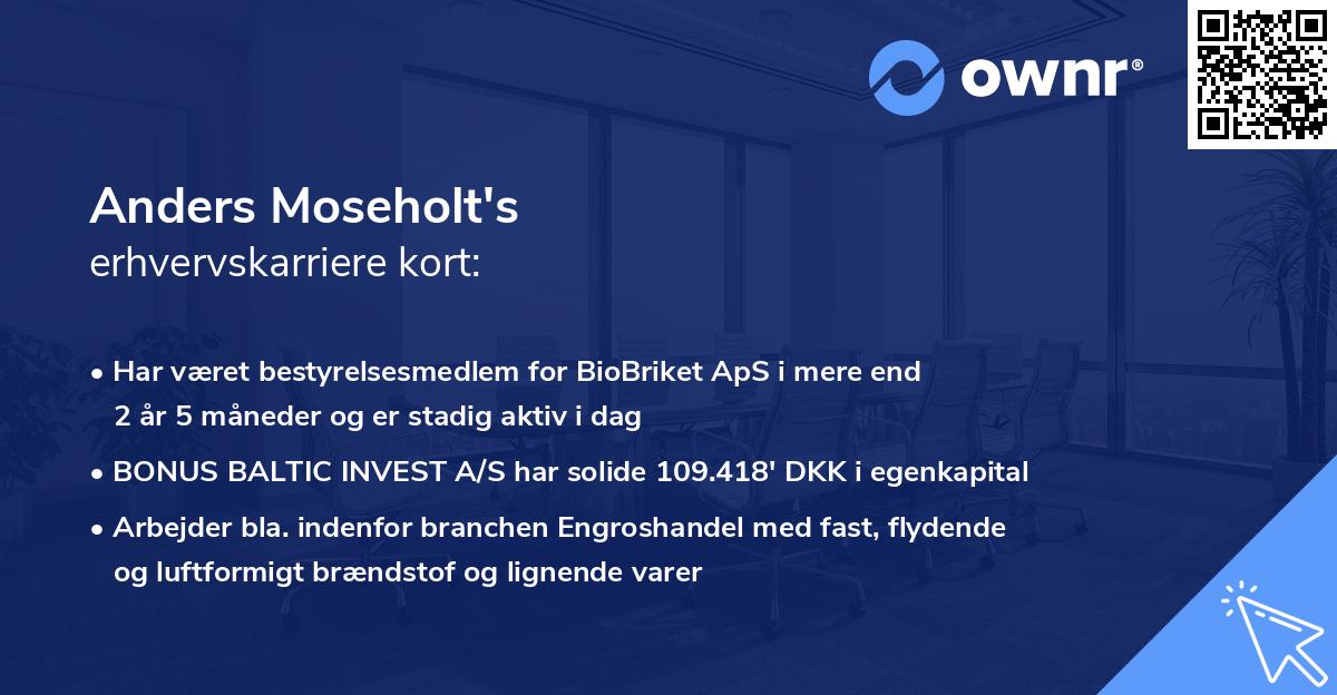 Anders Moseholt's erhvervskarriere kort