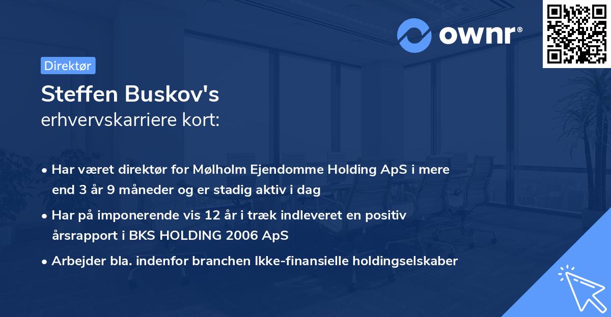 Steffen Buskov's erhvervskarriere kort