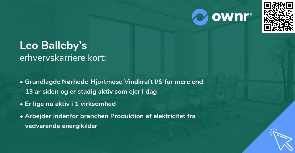 Leo Balleby's erhvervskarriere kort